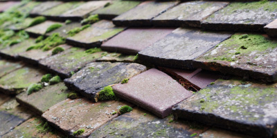 Arncott roof repair costs